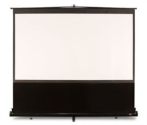 Elite 120 Inch pull up screen