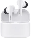 Denon AH-C630W Earbuds