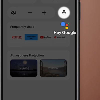 gv50 Google Assistant