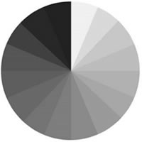 grey scale contrast ratio