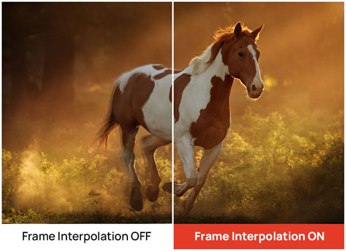 X1000-4K+ Frame Interpolation