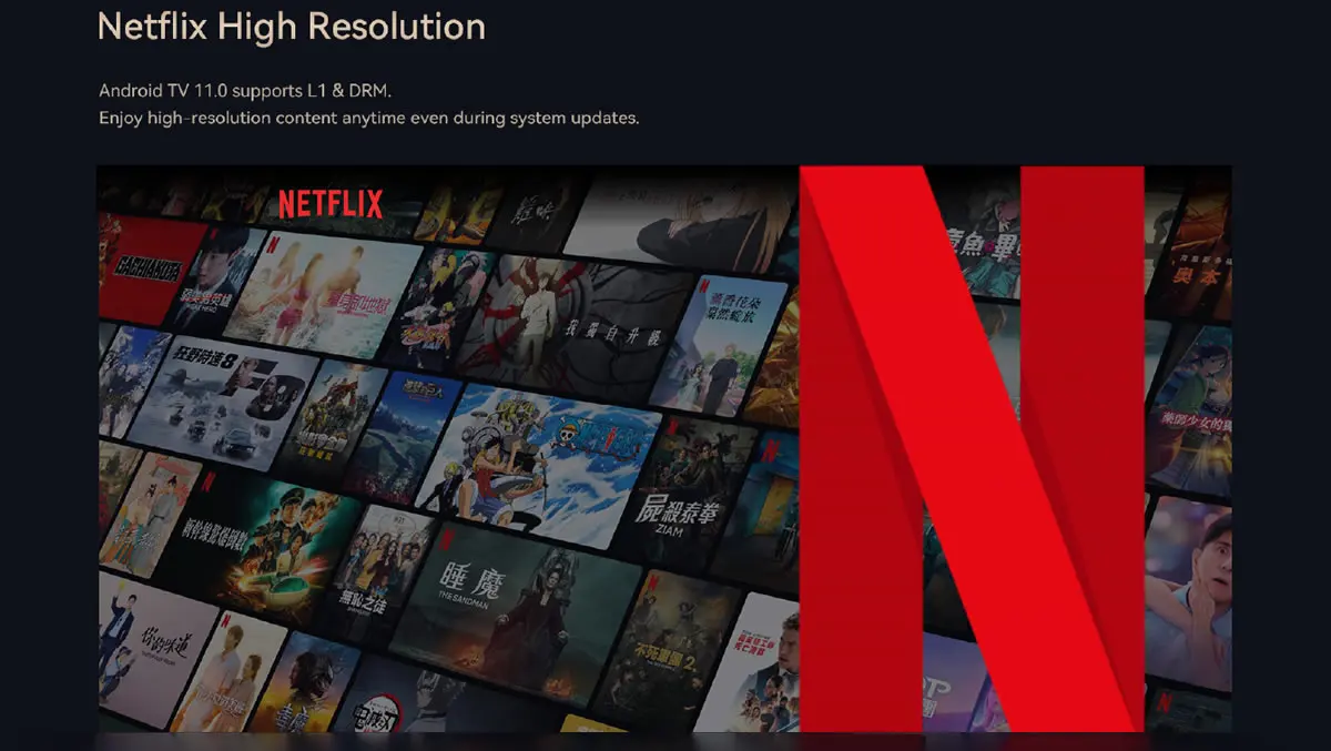 Wanbo Cube 2 Pro Netflix