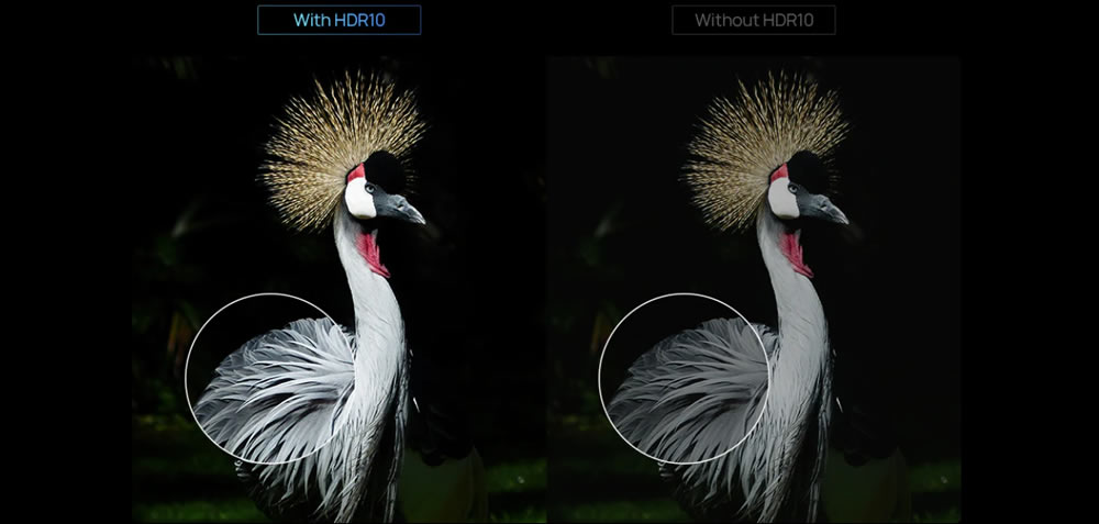 xgimi Horizon Pro HDR
